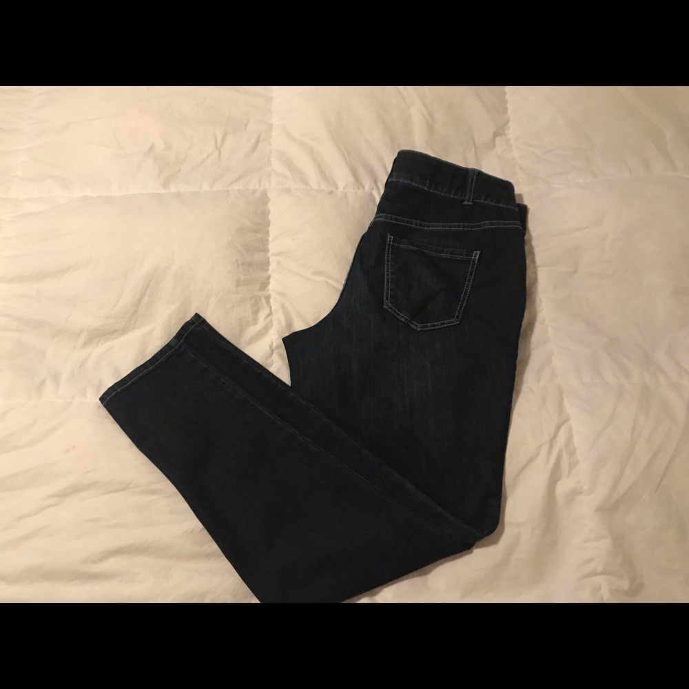 Lane Bryant Skinny Jeans 16L with T3 Technology